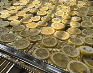 fruit drying-Lemon